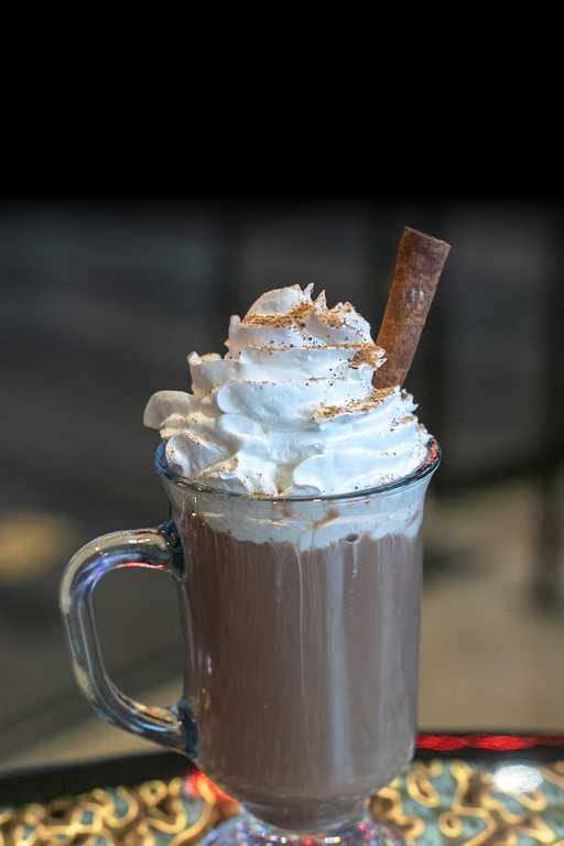 Lions, Tigers & Bears