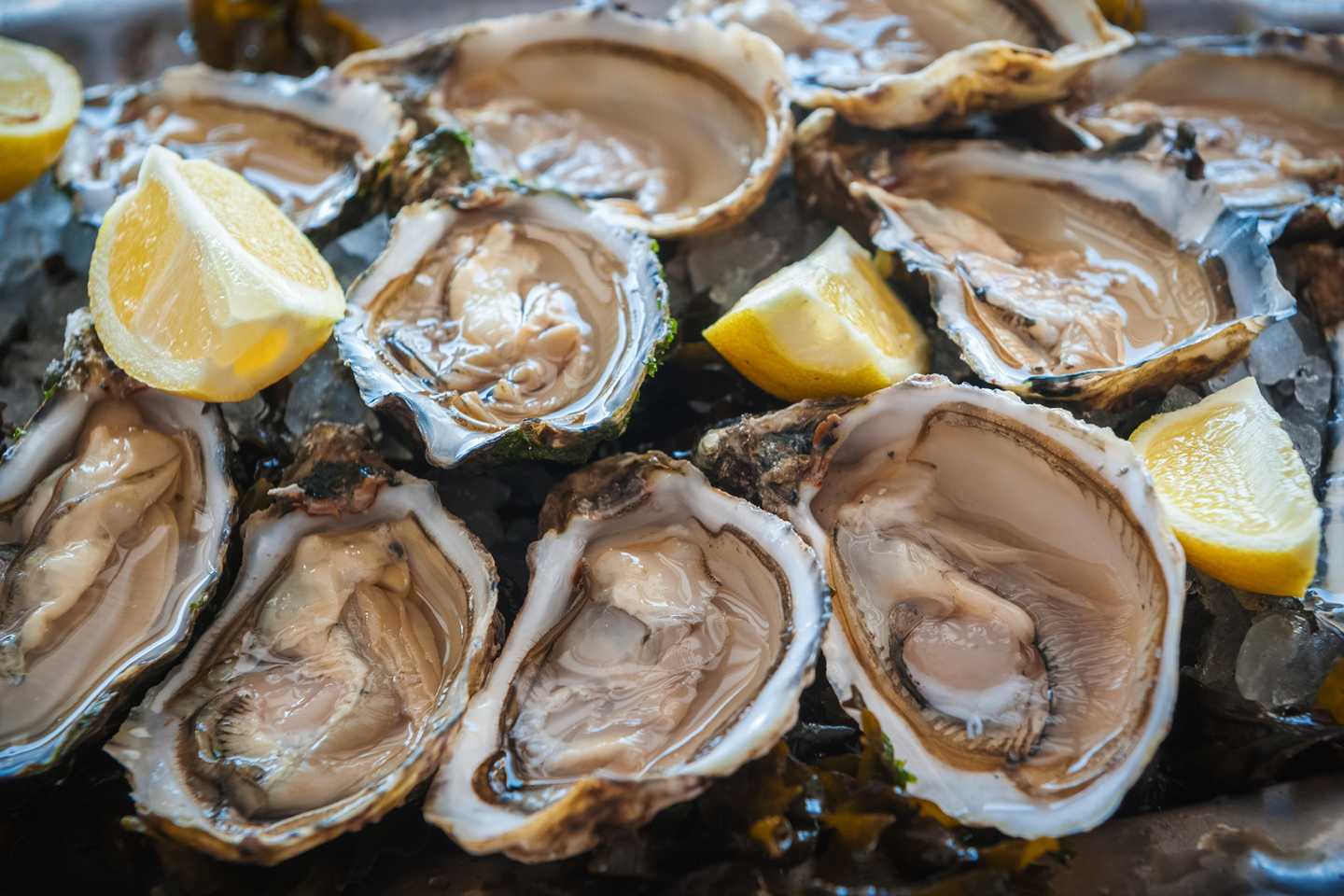 Oysters from Players' Party VIP Dinner